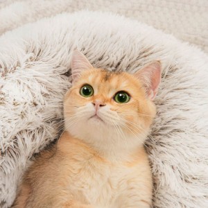 猫 ベッド ハウス ドーム型 暖か 丸型 ふわふわ もこもこ ぐっすり眠る 寒さ対策 秋冬用 ペットソファ クッション 猫ハウス 防寒 ペット