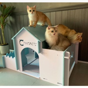 猫 ハウス キャットハウス ペットハウス 小型犬用 プラスチック 猫小屋 隠れ家 屋外 室内 防寒 猫ハウス 野良猫ハウス 冬用 防寒 雨よけ 