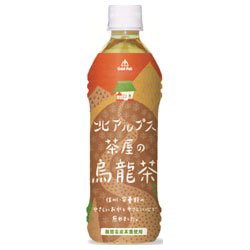 ゴールドパック 北アルプス茶屋の烏龍茶 500mlPET×24本入×(2ケース)