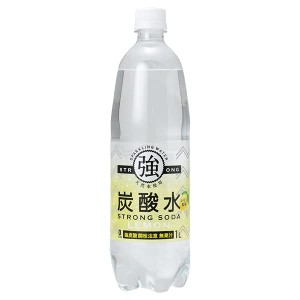 友桝飲料 強炭酸水レモン 1Lペットボトル×15本入