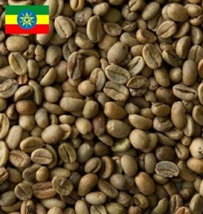 コーヒー生豆 1kg モカ イルガチャフェ G-2 エチオピア 大山珈琲