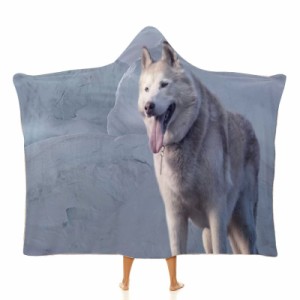 アイス マウンテンのオオカミ フード付きブランケット ソフト着る 毛布ケープラップブランケット肩掛け毛布部屋着 可愛いギフト
