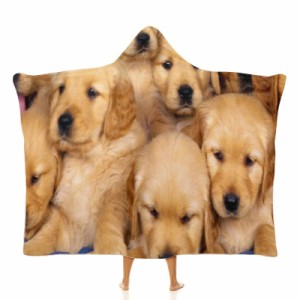 かわいい子犬 フード付きブランケット ソフト着る 毛布ケープラップブランケット肩掛け毛布部屋着 可愛いギフト