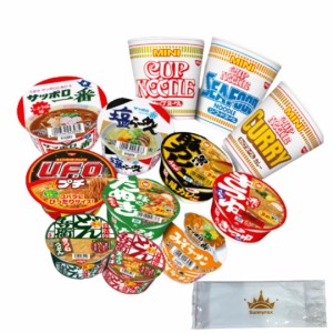 カップ麺 詰め合わせ 箱買い ミニ 12種セット カップラーメン カレー 日清 カップヌードル