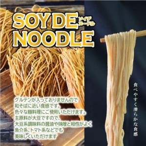 ソイデヌードル SOYDE NOODLE 【50g2食入】×3袋セット 糖質制限 高タンパク 低脂質 減量食