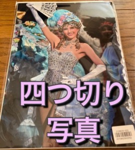 宝塚 宙組 芹香斗亜 四つ切り写真