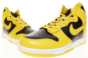 ⭐️美品ナイキ ダンクハイ プレミアム エスビー　ノーザンライト 24cm 楽天市場】NIKE DUNK PREMIUM（靴）の通販