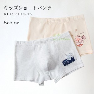 ネコポス送料無料 ショートパンツ セットアップ キッズ 夏 男の子 コットン ジュニア 下着 履きやすい ボ4点セット 150 可愛い 子供 140