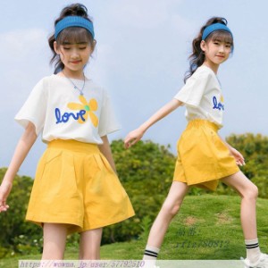 女児 Tシャツ 夏 ショートパンツ 上下セット 女の子 送料無料 セットアップ ハーフパンツ 半袖Tシャツ 夏Tシャツ ワイドパンツ 2点 ガー