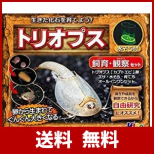 カブトエビ 飼育 キットの通販 Au Pay マーケット