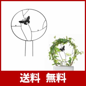 観葉 植物 種類 つるの通販 Au Pay マーケット