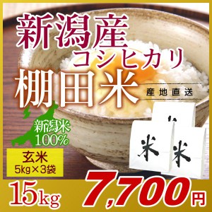 お米 15kg 玄米 棚田米 新潟産コシヒカリ (5kg×3袋) 令和5年産 新米 / 米 高級銘柄米 新潟米 ブランド米 新潟 新潟県産 国内産 人気 お