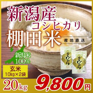 お米 20kg 玄米 棚田米 新潟産コシヒカリ (10kg×2袋) 令和5年産 新米 / 米 高級銘柄米 新潟米 ブランド米 新潟 新潟県産 国内産 人気 お