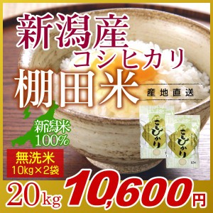 お米 20kg 無洗米 棚田米 新潟産コシヒカリ (10kg×2袋) 令和5年産 新米 / 米 高級銘柄米 新潟米 ブランド米 新潟 新潟県産 国内産 人気 