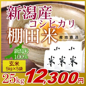 お米 25kg 玄米 棚田米 新潟産コシヒカリ (5kg×5袋) 令和5年産 新米 / 米 高級銘柄米 新潟米 ブランド米 新潟 新潟県産 国内産 人気 お