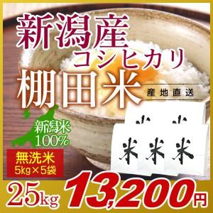 お米 25kg 無洗米 棚田米 新潟産コシヒカリ (5kg×5袋) 令和5年産 新米 / 米 高級銘柄米 新潟米 ブランド米 新潟 新潟県産 国内産 人気 