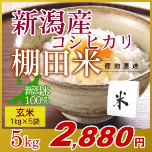 お米 5kg 玄米 棚田米 新潟産コシヒカリ (1kg×5袋) エコ梱包 令和5年産 新米 / 1kg小分け 米 高級銘柄米 新潟米 ブランド米 新潟 新潟県