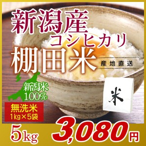 お米 5kg 無洗米 棚田米 新潟産コシヒカリ (1kg×5袋) エコ梱包 令和5年産 新米 / 1kg小分け 米 高級銘柄米 新潟米 ブランド米 新潟 新潟