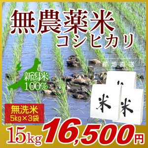 お米 15kg 無洗米 農薬不使用米 希少米コシヒカリ (5kg×3袋) 令和5年産 新米 / 米 新潟米 ブランド米 アイガモ農法 新潟 新潟県産 国内