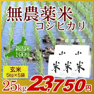 お米 25kg 玄米 農薬不使用米 希少米コシヒカリ (5kg×5袋) 令和5年産 新米 / 米 新潟米 ブランド米 アイガモ農法 新潟 新潟県産 国内産 