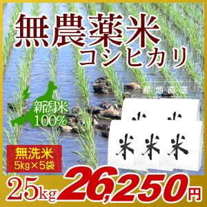 お米 25kg 無洗米 農薬不使用米 希少米コシヒカリ (5kg×5袋) 令和5年産 新米 / 米 新潟米 ブランド米 アイガモ農法 新潟 新潟県産 国内