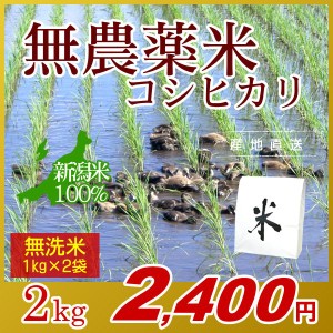 お米 2kg 無洗米 農薬不使用米 希少米コシヒカリ (1kg×2袋) エコ梱包 令和5年産 新米 / 1kg小分け 米 新潟米 ブランド米 アイガモ農法 