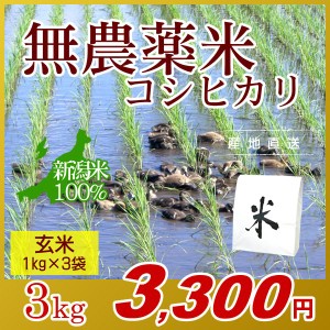 お米 3kg 玄米 農薬不使用米 希少米コシヒカリ (1kg×3袋) エコ梱包 令和5年産 新米 / 1kg小分け 米 新潟米 ブランド米 アイガモ農法 新