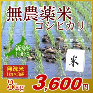 お米 3kg 無洗米 農薬不使用米 希少米コシヒカリ (1kg×3袋) エコ梱包 令和5年産 新米 / 1kg小分け 米 新潟米 ブランド米 アイガモ農法 