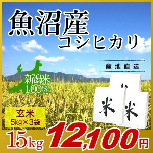 お米 15kg 玄米 魚沼産コシヒカリ (5kg×3袋) 令和5年産 新米 / 米 最高級銘柄 新潟米 ブランド米 新潟 新潟県産 国内産 人気 おいしい 