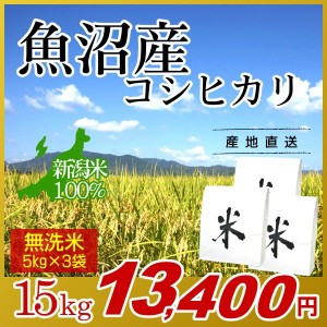 お米 15kg 無洗米 魚沼産コシヒカリ (5kg×3袋) 令和5年産 新米 / 米 最高級銘柄 新潟米 ブランド米 新潟 新潟県産 国内産 人気 おいしい