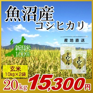 お米 20kg 玄米 魚沼産コシヒカリ (10kg×2袋) 令和5年産 新米 / 米 最高級銘柄 新潟米 ブランド米 新潟 新潟県産 国内産 人気 おいしい 