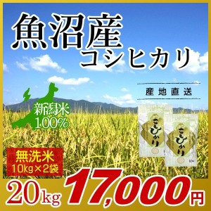 お米 20kg 無洗米 魚沼産コシヒカリ (10kg×2袋) 令和5年産 新米 / 米 最高級銘柄 新潟米 ブランド米 新潟 新潟県産 国内産 人気 おいし