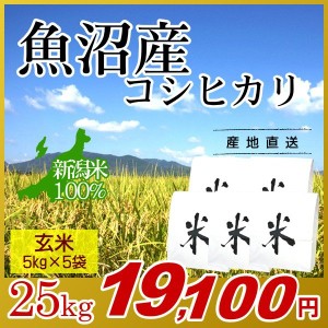 お米 25kg 玄米 魚沼産コシヒカリ (5kg×5袋) 令和5年産 新米 / 米 最高級銘柄 新潟米 ブランド米 新潟 新潟県産 国内産 人気 おいしい 