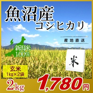 お米 2kg 玄米 魚沼産コシヒカリ (1kg×2袋) エコ梱包 令和5年産 新米 / 1kg小分け 米 最高級銘柄 新潟米 ブランド米 新潟 新潟県産 国内