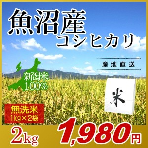 お米 2kg 無洗米 魚沼産コシヒカリ (1kg×2袋) エコ梱包 令和5年産 新米 / 1kg小分け 米 最高級銘柄 新潟米 ブランド米 新潟 新潟県産 国