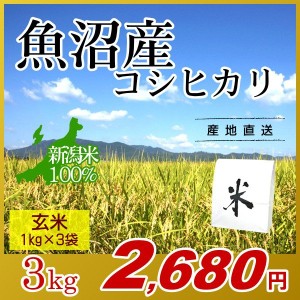 お米 3kg 玄米 魚沼産コシヒカリ (1kg×3袋) エコ梱包 令和5年産 新米 / 1kg小分け 米 最高級銘柄 新潟米 ブランド米 新潟 新潟県産 国内