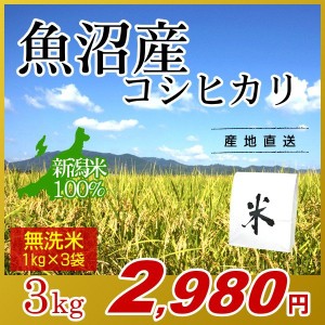 お米 3kg 無洗米 魚沼産コシヒカリ (1kg×3袋) エコ梱包 令和5年産 新米 / 1kg小分け 米 最高級銘柄 新潟米 ブランド米 新潟 新潟県産 国