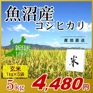 お米 5kg 玄米 魚沼産コシヒカリ (1kg×5袋) エコ梱包 令和5年産 新米 / 1kg小分け 米 最高級銘柄 新潟米 ブランド米 新潟 新潟県産 国内