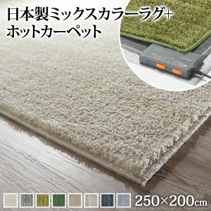 日本製 ホットカーペット・上質生地ラグ 3畳(250x200cm) 本体+カバーセット 防ダニ・防音・防炎 