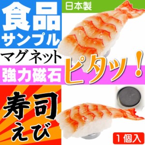 えび お寿司 マグネット 日本製 食品サンプル風 ms114