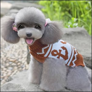 ドッグウエア Autumn Cloth 秋 冬 犬用服 ペット用品 luxury dog sweater Coffee コーヒー 茶 セーター