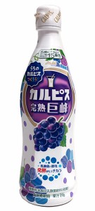 【送料無料】★まとめ買い★　カルピス原液完熟巨峰ＰＥＴ　４７０ｍＬ　×12個【イージャパンモール】