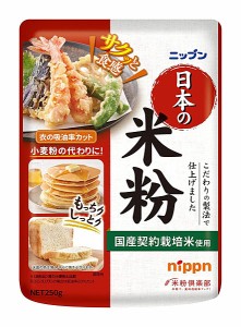 ★まとめ買い★　ニップン　日本の米粉　250G　×12個【イージャパンモール】