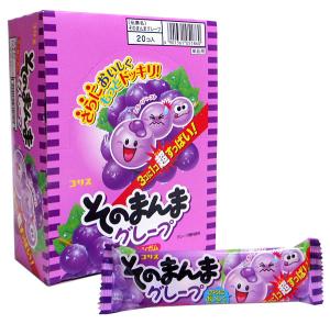 すっぱい ガムの通販 Au Pay マーケット