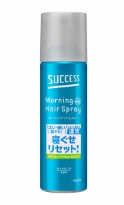 ★まとめ買い★　サクセスモーニングヘアスプレー　２２０ｇ　×24個【イージャパンモール】