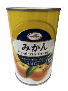 ★まとめ買い★　天長食品工業　みかん缶詰４２５ｇ　×24個【イージャパンモール】