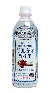 ★まとめ買い★　キリン 世界のK ソルティライチN 500ML　×24個【イージャパンモール】