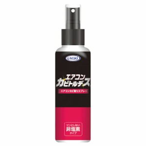 カビトルデス　エアコンスプレー１００ｍｌ【返品・交換・キャンセル不可】【イージャパンモール】