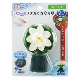 メダカのお守り草　スイレン【返品・交換・キャンセル不可】【イージャパンモール】