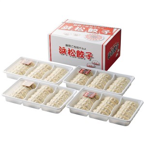 【送料無料】浜松餃子　浜松餃子　ＨＧ−４０ＴＮ【ギフト館】